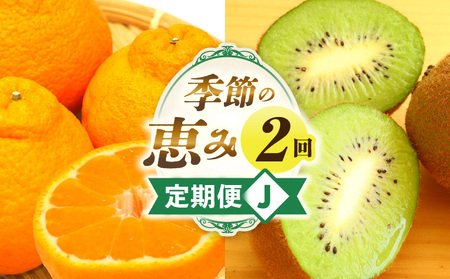 季節の恵み2回定期便J | 果物 旬の果物 果物定期便 旬のフルーツ フルーツ フルーツ定期便 定期 定期便 果汁 果実 デザート スイーツ ギフト 贈り物 贈答 ギフト 人気 おすすめ 厳選 デコポン キウイ キウイフルーツ 香川県 三木町 |_mk165-t010