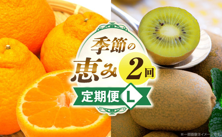 季節の恵み2回定期便L | 果物 フルーツ 定期便 果物定期便 フルーツ定期便 旬の果物 旬の定期便 旬のフルーツ 定期便 旬の果物定期便 定期 人気 おすすめ 厳選 ギフト 贈答 贈り物 ご褒美 デザート スイーツ 香川県 三木町 |_mk165-t012