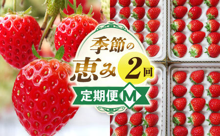 季節の恵み2回定期便M | 果物 フルーツ 青果 青果物 デザート スイーツ 果実 旬 季節 旬の果物 季節の果物 生鮮食品 生鮮 贈答 贈り物 ギフト プレゼント おすそ分け お祝い 内祝い ご褒美 人気 グルメ お取り寄せ 特産品 特産 国産 香川県 三木町 |_mk165-t013