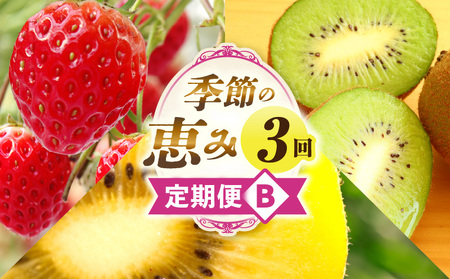 季節の恵み3回定期便B | 果物 フルーツ 青果 青果物 デザート スイーツ 果実 旬 季節 旬の果物 季節の果物 生鮮食品 生鮮 贈答 贈り物 ギフト プレゼント おすそ分け お祝い 内祝い ご褒美 人気 グルメ お取り寄せ 特産品 特産 国産 香川県 三木町 |_mk165-t017