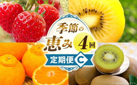 季節の恵み4回定期便C | 果物 フルーツ 青果 青果物 デザート スイーツ 果実 旬 季節 旬の果物 季節の果物 生鮮食品 生鮮 贈答 贈り物 ギフト プレゼント おすそ分け お祝い 内祝い ご褒美 人気 グルメ お取り寄せ 特産品 特産 国産 香川県 三木町 |_mk165-t027