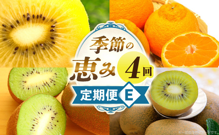 季節の恵み4回定期便E | 果物 フルーツ 青果 青果物 デザート スイーツ 果実 旬 季節 旬の果物 季節の果物 生鮮食品 生鮮 贈答 贈り物 ギフト プレゼント おすそ分け お祝い 内祝い ご褒美 人気 グルメ お取り寄せ 特産品 特産 国産 香川県 三木町 |_mk165-t029