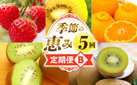 季節の恵み5回定期便B | 果物 フルーツ 青果 青果物 デザート スイーツ 果実 旬 季節 旬の果物 季節の果物 生鮮食品 生鮮 贈答 贈り物 ギフト プレゼント おすそ分け お祝い 内祝い ご褒美 人気 グルメ お取り寄せ 特産品 特産 国産 香川県 三木町 |_mk165-t032