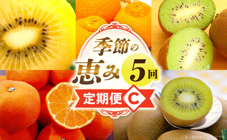 季節の恵み5回定期便C | 果物 フルーツ 青果 青果物 デザート スイーツ 果肉 旬 季節 旬の果物 季節の果物 生鮮食品 生鮮 贈答 贈り物 ギフト プレゼント おすそ分け お祝い 内祝い ご褒美 人気 グルメ お取り寄せ 特産品 特産 国産 香川県 三木町 |_mk165-t033