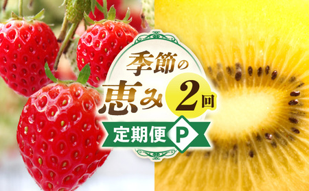 季節の恵み2回定期便P|果物 フルーツ 青果 青果物 デザート スイーツ 果実 旬 季節 旬の果物 季節の果物 生鮮食品 生鮮 贈答 贈り物 ギフト プレゼント おすそ分け お祝い 内祝い ご褒美 人気 グルメ お取り寄せ 特産品 特産 国産 香川県 三木町|_mk165-t035