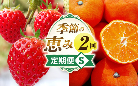 季節の恵み2回定期便S | 果物 フルーツ 青果 青果物 デザート スイーツ 果実 旬 季節 旬の果物 季節の果物 生鮮食品 生鮮 贈答 贈り物 ギフト プレゼント おすそ分け お祝い 内祝い ご褒美 人気 グルメ お取り寄せ 特産品 特産 国産 香川県 三木町 |_mk165-t038