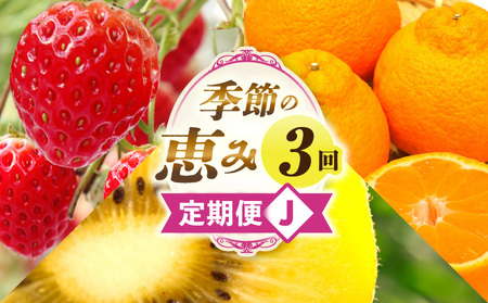 季節の恵み3回定期便J | 果物 フルーツ 青果 青果物 デザート スイーツ 果実 旬 季節 旬の果物 季節の果物 生鮮食品 生鮮 贈答 贈り物 ギフト プレゼント おすそ分け お祝い 内祝い ご褒美 人気 グルメ お取り寄せ 特産品 特産 国産 香川県 三木町 |_mk165-t041