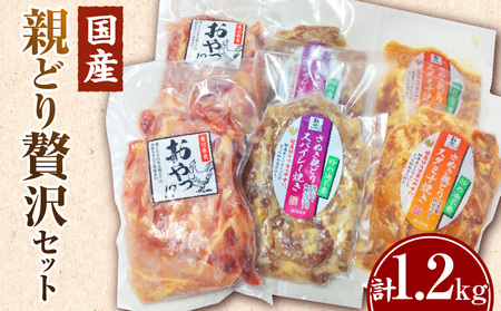 冷凍　国産親どり贅沢セット(スパイシー焼き・スタミナ焼き・ノーマルスライス) |  親鶏 親どり 味付き肉 もも肉 むね肉 塩 胡椒 ガーリック 醤油 みりん 味噌 焼き肉のタレ カット済 三木町 |_mk166-001