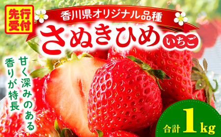 三木町地域いちご部会「さぬきひめ」1.0kg |いちご 苺 ストロベリー さぬき姫 さぬきひめ 香川県 香川県オリジナル 希少 甘い フルーツ 旬 果物 スイーツ 冷蔵 1kg以上 デザート 青果物 贈答 プレゼント 贈り物 おすすめ |_mk006-015
