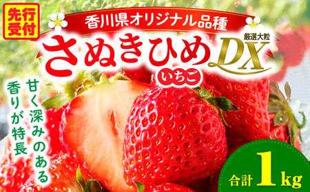 【年内発送】三木町地域いちご部会「さぬきひめ」1kgDXパック | スイーツ いちご ストロベリー イチゴ さぬき姫 さぬきひめ 苺 甘い 大粒 冷蔵 フルーツ 旬 果物 香川県 デザート 青果物 贈答 プレゼント 贈り物 おすすめ |_mk006-016