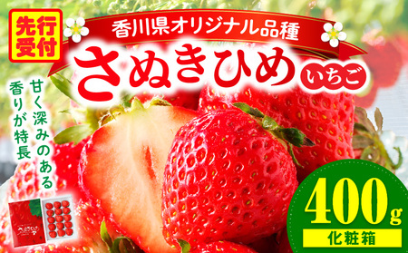 【年内発送】三木町地域いちご部会『さぬきひめ』　400g（化粧箱入）| スイーツ いちご ストロベリー イチゴ さぬき姫 さぬきひめ 苺 甘い 冷蔵 フルーツ 旬 果物 香川県 デザート 青果物 贈答 プレゼント 化粧箱 贈り物 おすすめ |_mk006-017