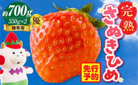 贈答用 完熟さぬき姫 優 約700g | いちご 苺 さぬき姫 さぬきひめ 香川県オリジナル 希少 甘い 完熟 フルーツ 果物 旬 香川県 三木町 |_mk035-006