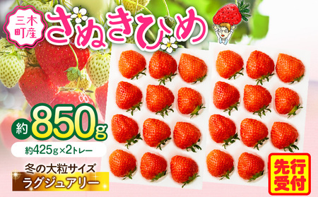 【2026年発送分 先行受付】苺音ラグジュアリー～冬の大粒さぬきひめいちご～　約850g | スイーツ いちご イチゴ ストロベリー さぬきひめ さぬき姫 苺 冷蔵 フルーツ 旬 果物 香川県 デザート 青果物 おすすめ |_mk137-002