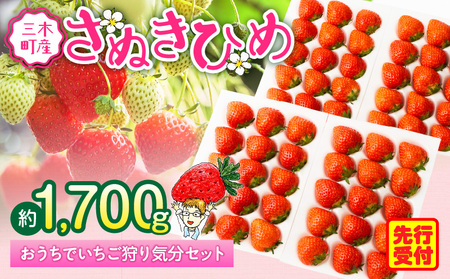 【2026年発送分 先行受付】『苺音ファームの』おうちでいちご狩り気分セット　～さぬきひめいちごをいっぱい食べられる大容量セット～　約1.7kg|イチゴ フルーツ 旬のいちご 旬 果物 デザート 旬の果物 果実 ご褒美 季節 甘い 国産 ギフト お取り寄せ 贈答 贈り物 プレゼント 香川県 三木町 |_mk137-005