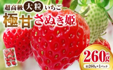 超高級大粒いちご　極甘さぬき姫260g×1パック(ハンモックトレー) | いちご 大粒 高級 さぬき姫 果物 フルーツ おすすめ 旬 イチゴ 季節 旬の果物 ギフト パック 果実 贈り物 デザート 人気 果肉 生鮮食品 国産 冷蔵 香川県 三木町 |_mk165-001