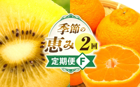 季節の恵み2回定期便F | 果物 フルーツ 定期便 果物定期便 フルーツ定期便 旬 旬の果物 旬の定期便 スイーツ デザート ゴールドキウイ デコポン キウイフルーツ ギフト 贈り物 贈答 ご褒美 厳選 香川県 三木町 |_mk165-t006