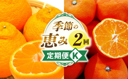 季節の恵み2回定期便K | 果物 フルーツ 定期便 定期 果物定期便 フルーツ定期便 旬の果物 旬のフルーツ 旬の定期便 人気 おすすめ 厳選 ギフト 贈り物 贈答 デコポン みかん 果実 果汁 デザート スイーツ 香川県 三木町 |_mk165-t011