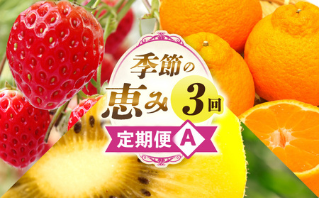 季節の恵み3回定期便A | 果物 フルーツ 青果 青果物 デザート スイーツ 果実 旬 季節 旬の果物 季節の果物 生鮮食品 生鮮 贈答 贈り物 ギフト プレゼント おすそ分け お祝い 内祝い ご褒美 人気 グルメ お取り寄せ 特産品 特産 国産 香川県 三木町 |_mk165-t016