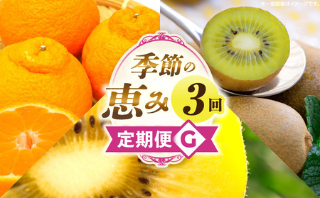 季節の恵み3回定期便G | 果物 フルーツ 青果 青果物 デザート スイーツ 果実 旬 季節 旬の果物 季節の果物 生鮮食品 生鮮 贈答 贈り物 ギフト プレゼント おすそ分け お祝い 内祝い ご褒美 人気 グルメ お取り寄せ 特産品 特産 国産 香川県 三木町 |_mk165-t022