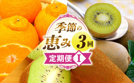 季節の恵み3回定期便I | 果物 フルーツ 青果 青果物 デザート スイーツ 果実 旬 季節 旬の果物 季節の果物 生鮮食品 生鮮 贈答 贈り物 ギフト プレゼント おすそ分け お祝い 内祝い ご褒美 人気 グルメ お取り寄せ 特産品 特産 国産 香川県 三木町 |_mk165-t024