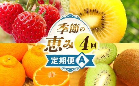 季節の恵み4回定期便A | 果物 フルーツ 青果 青果物 デザート スイーツ 果実 旬 季節 旬の果物 季節の果物 生鮮食品 生鮮 贈答 贈り物 ギフト プレゼント おすそ分け お祝い 内祝い ご褒美 人気 グルメ お取り寄せ 特産品 特産 国産 香川県 三木町 |_mk165-t025