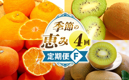 季節の恵み4回定期便F | 果物 フルーツ 青果 青果物 デザート スイーツ 果実 旬 季節 旬の果物 季節の果物 生鮮食品 生鮮 贈答 贈り物 ギフト プレゼント おすそ分け お祝い 内祝い ご褒美 人気 グルメ お取り寄せ 特産品 特産 国産 香川県 三木町 |_mk165-t030