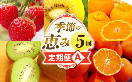 季節の恵み5回定期便A | 果物 フルーツ 青果 青果物 デザート スイーツ 果実 旬 季節 旬の果物 季節の果物 生鮮食品 生鮮 贈答 贈り物 ギフト プレゼント おすそ分け お祝い 内祝い ご褒美 人気 グルメ お取り寄せ 特産品 特産 国産 香川県 三木町 |_mk165-t031
