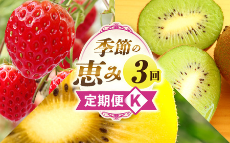 季節の恵み3回定期便K | 果物 フルーツ 青果 青果物 デザート スイーツ 果実 旬 季節 旬の果物 季節の果物 生鮮食品 生鮮 贈答 贈り物 ギフト プレゼント おすそ分け お祝い 内祝い ご褒美 人気 グルメ お取り寄せ 特産品 特産 国産 香川県 三木町 |_mk165-t042
