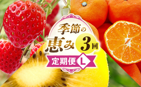 季節の恵み3回定期便L | 果物 フルーツ 青果 青果物 デザート スイーツ 果実 旬 季節 旬の果物 季節の果物 生鮮食品 生鮮 贈答 贈り物 ギフト プレゼント おすそ分け お祝い 内祝い ご褒美 人気 グルメ お取り寄せ 特産品 特産 国産 香川県 三木町 |_mk165-t043