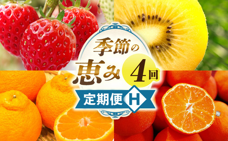 季節の恵み4回定期便H | 果物 フルーツ 青果 青果物 デザート スイーツ 果実 旬 季節 旬の果物 季節の果物 生鮮食品 生鮮 贈答 贈り物 ギフト プレゼント おすそ分け お祝い 内祝い ご褒美 人気 グルメ お取り寄せ 特産品 特産 国産 香川県 三木町 |_mk165-t046