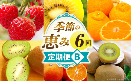 季節の恵み6回定期便B | 果物 フルーツ 青果物 デザート スイーツ 果実 果肉 旬 季節 旬の果物 季節の果物 生鮮食品 生鮮 贈答 贈り物 ギフト プレゼント おすそ分け お祝い 内祝い ご褒美 人気 グルメ お取り寄せ 特産品 特産 国産 香川県 三木町 |_mk165-t050