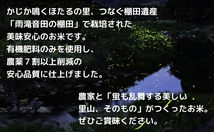 〈坂本自然農場 穂田琉〉 特別栽培米:ひめの凜　精米5kg ご飯 お弁当 おにぎり 冷めても美味しい 愛媛県産 県知事賞 受賞米 お米