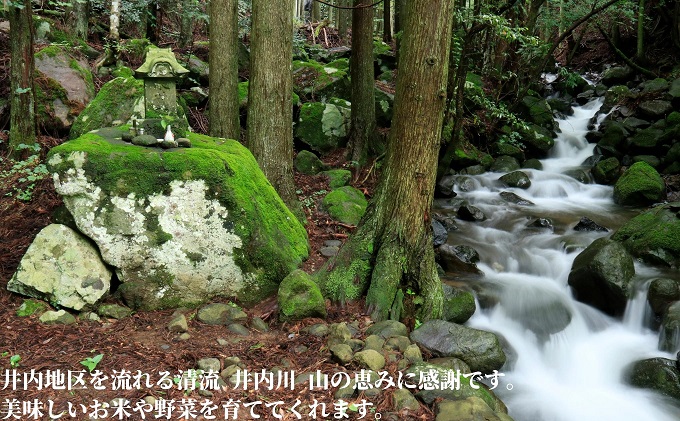 どぶろくながい  甘口 ・辛口（2本セット）