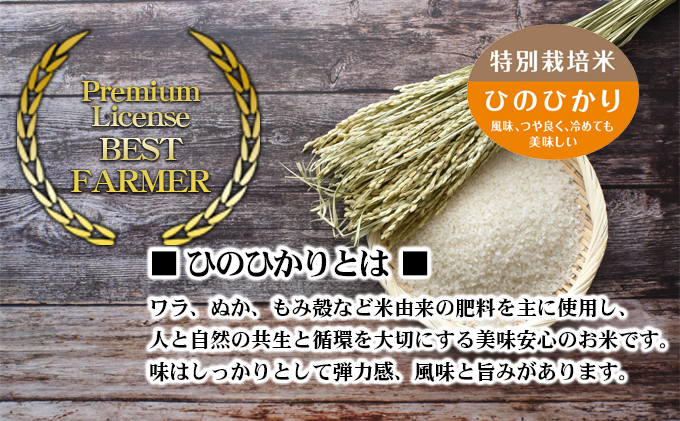 〈坂本自然農場 穂田琉〉 JINEN:ひのひかり 精米5kg お米 白米 ライス ご飯 ブランド米 銘柄米 お弁当 おにぎり 産地直送 主食 炭水化物 朝食 昼食 夕飯 和食 弾力 風味 旨み