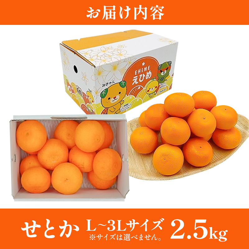 せとか L～3Lサイズ　2.5kg　みきゃん箱入＜みかん 柑橘 フルーツ 果物 愛媛県 国産 甘い 人気 先行予約 数量限定 旬にお届け 瀬戸香＞