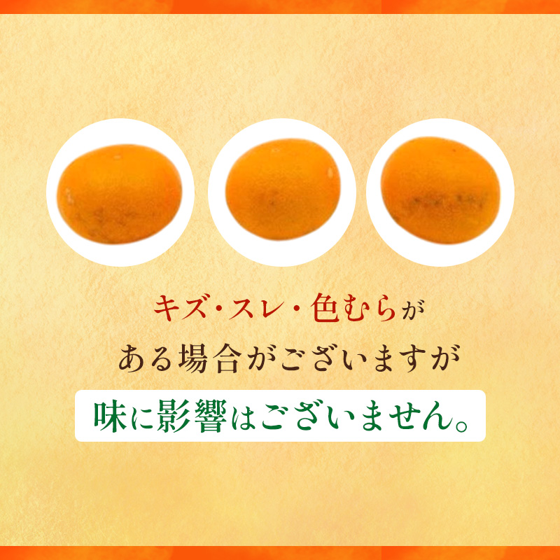 せとか L～3Lサイズ　2.5kg　みきゃん箱入＜みかん 柑橘 フルーツ 果物 愛媛県 国産 甘い 人気 先行予約 数量限定 旬にお届け 瀬戸香＞