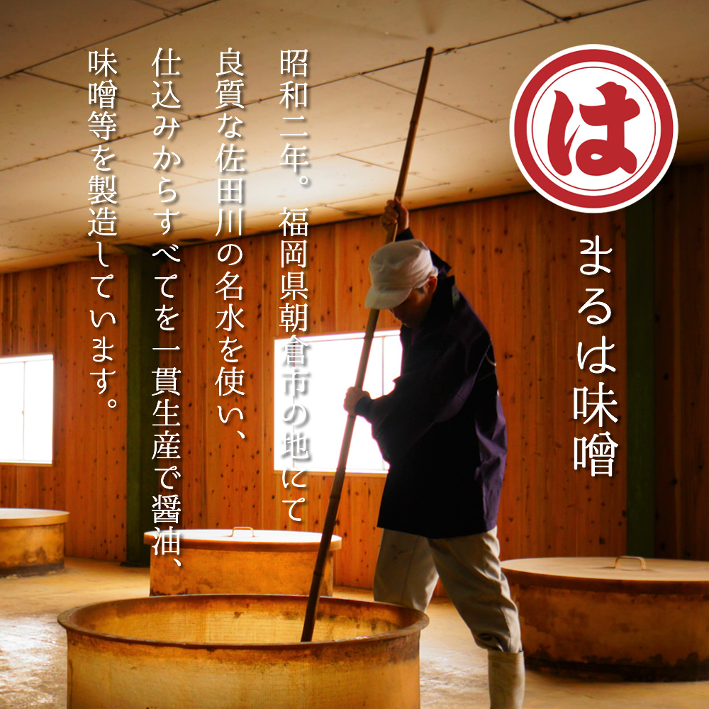 国産牛もつ1kgオーバー！ 九州味噌もつ鍋 メガ盛り10人前 [牛もつ1.05kg／九州味噌スープ付]