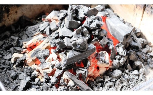 かけはし 創業40年 全てが職人による手焼き うなぎの白焼き 3尾