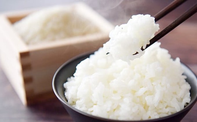 R7年度産 米 10kg 配送当日に精米します 小郡産 特A 特別栽培米 ひのひかり　白米 コメ 福岡県 お米 精米 ご飯 ごはん ヒノヒカリ国産 国産米 グルメ 食品