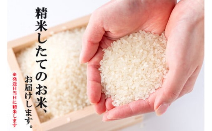 R7年度産 米 10kg 配送当日に精米します 小郡産 特A 特別栽培米 ひのひかり　白米 コメ 福岡県 お米 精米 ご飯 ごはん ヒノヒカリ国産 国産米 グルメ 食品