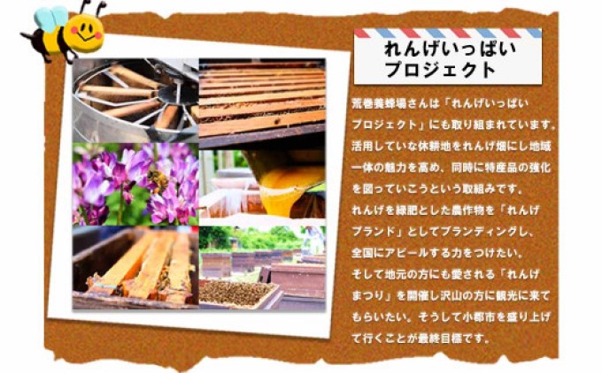 はちみつ らっきょう セット 国産 天然 純はちみつ 370g×2本 やまみつ＆さくら、はちみつらっきょう 300g ハニーベル