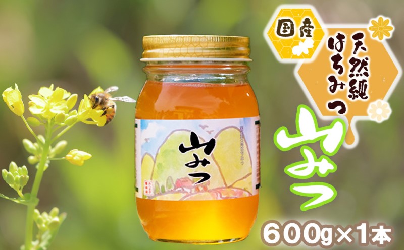 はちみつ 2kg (1kg×2) 非加熱 国産 天然 純はちみつ もちの木 はちみつ 2kg (1kg×2) 非加熱 国産 天然 純はちみつ もちの木