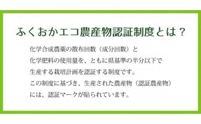 里芋 ねっとりもちもち 小郡産の里芋 赤芽大吉 2.5kg ふくおかエコ農産物認証 ゆうき自然農場 野菜 芋