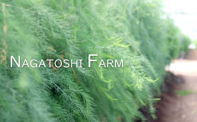 【先行予約】発送2026年4月 アスパラガス 小郡産 朝採りアスパラガス 500g (L、2Lサイズ混) 野菜 永利農園