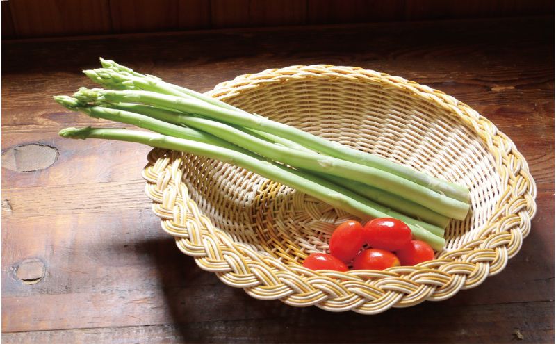 カラーラタン三つ編みプレート（大）イエロー[カラーラタン彩都]