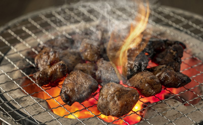 鶏肉 はかた地どり 炭火焼 セット 500g (100g×5p)  地鶏 鳥肉 博多 肉 ※配送不可：離島