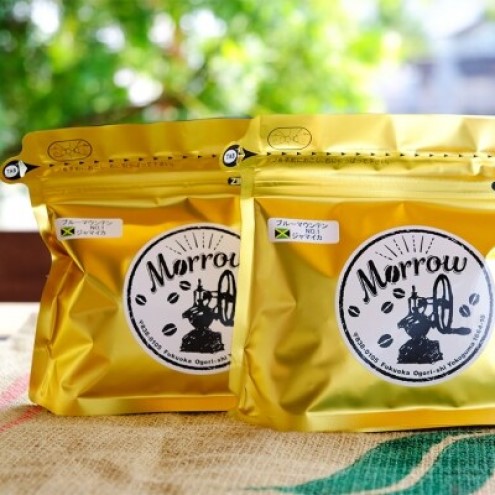 定期便 12ヶ月 自家焙煎 ブルーマウンテン (ストレート・粉) 200g×2 ポスト投函 コーヒー 珈琲 12回 お楽しみ Morrow珈琲