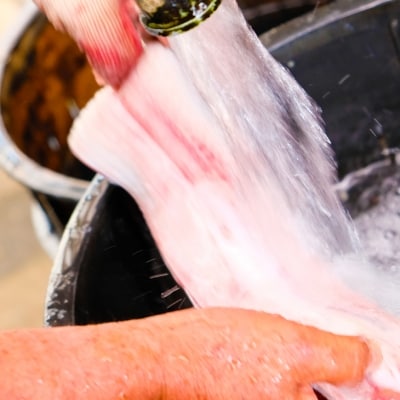 定期便 12回 うなぎ 職人による手焼き うなぎの蒲焼き 定期便(1尾×12カ月) ウナギ