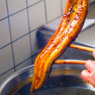 定期便 12回 うなぎ 職人による手焼き うなぎの蒲焼き 定期便(1尾×12カ月) ウナギ