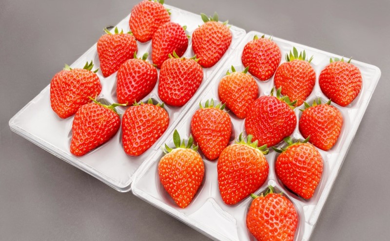 あまおう 生まれも育ちも福岡県 イチゴ界の王道！ギフトに最適 4パック 化粧箱入り 果物 デザート イチゴ 苺